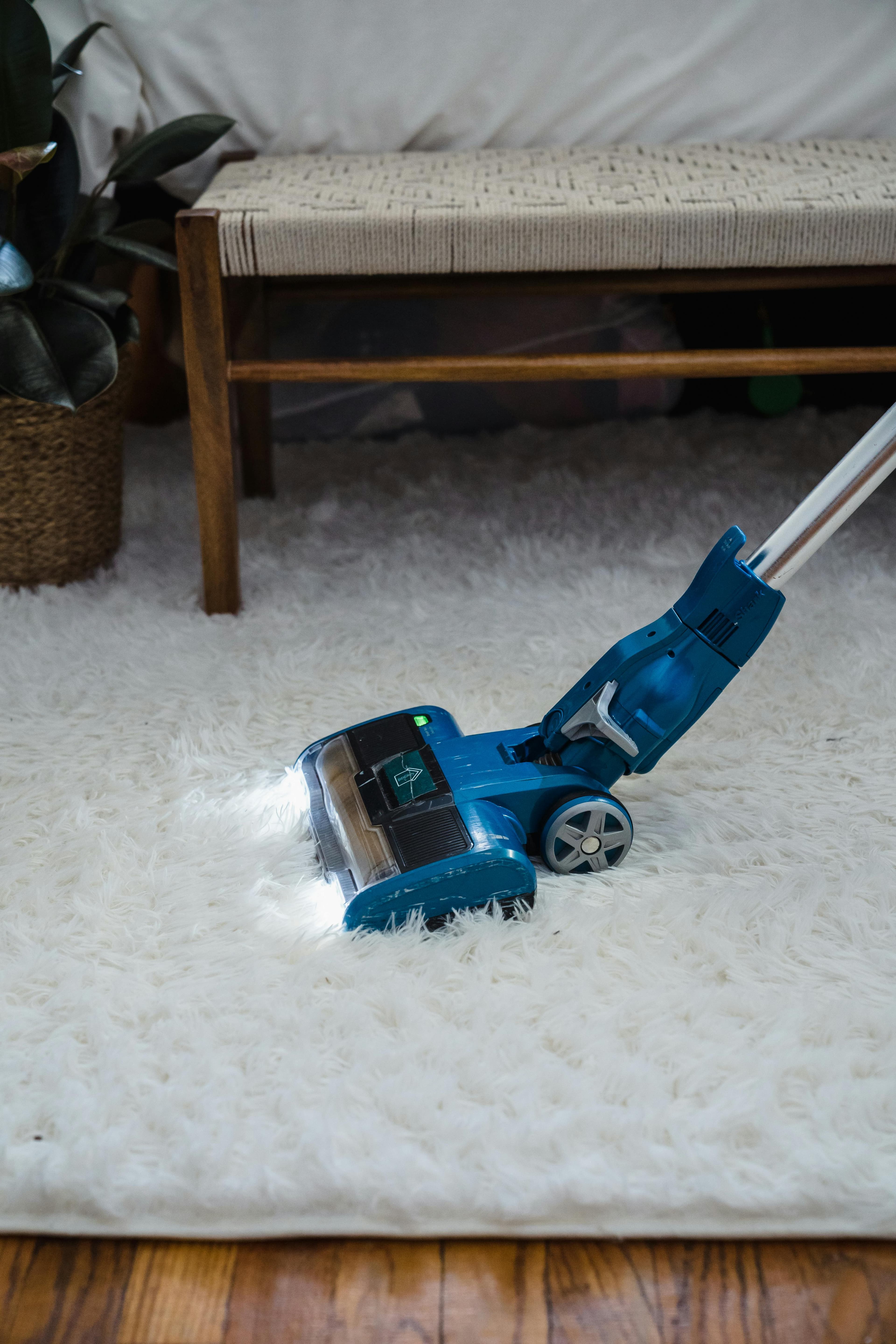 Carpet Moth Treatment in Melbourne