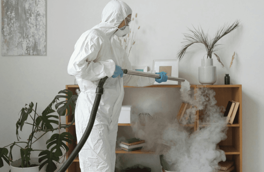 Pest Management Melbourne in Melbourne